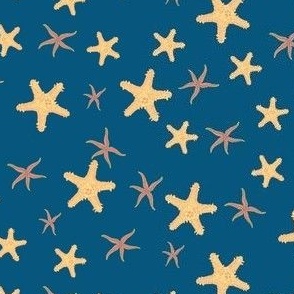 Star Fish on Navy