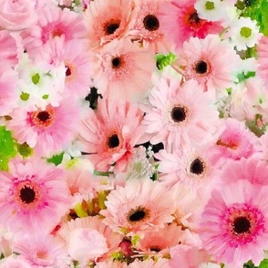 Pink and Peach Gerberas and White Daisies Floral Watercolor Half Drop