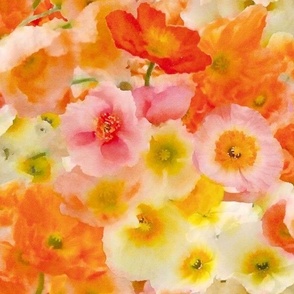 Pink, Peach and Coral Poppies Floral Watercolor Half Drop
