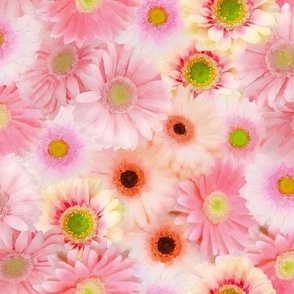 Pink and Yellow Gerbera Daisies Retro Flower Power Floral Watercolor Half Drop
