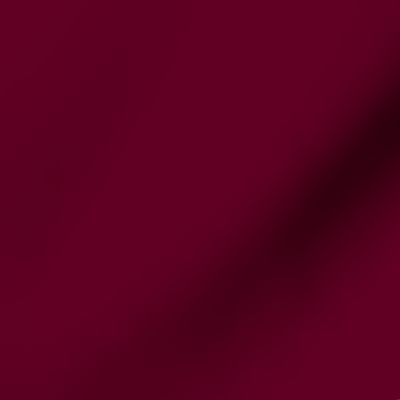 SOLID BURGUNDY  #610023 HTML HEX Colors