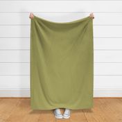 SOLID KHAKI  #aaa662 HTML HEX Colors