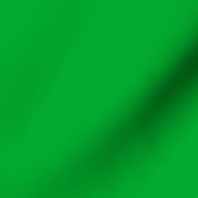 SOLID KELLY GREEN  #02ab2e HTML HEX Colors