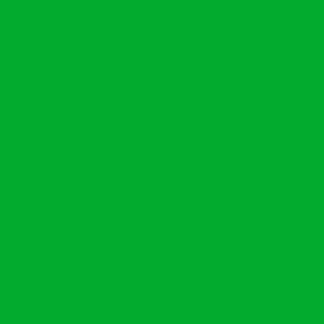 SOLID KELLY GREEN  #02ab2e HTML HEX Colors