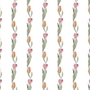 Tulips in Stripes
