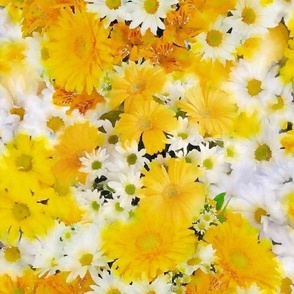 Yellow and White Daisies Floral Watercolor Half Drop