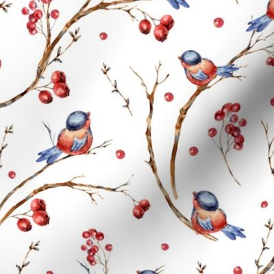 Snow berries with birds on white