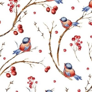 Snow berries with birds on white