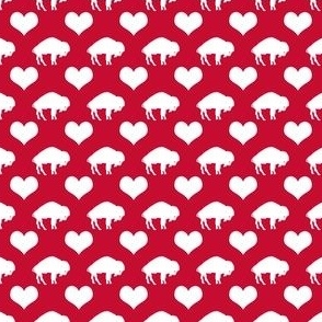 red buffaloes heart