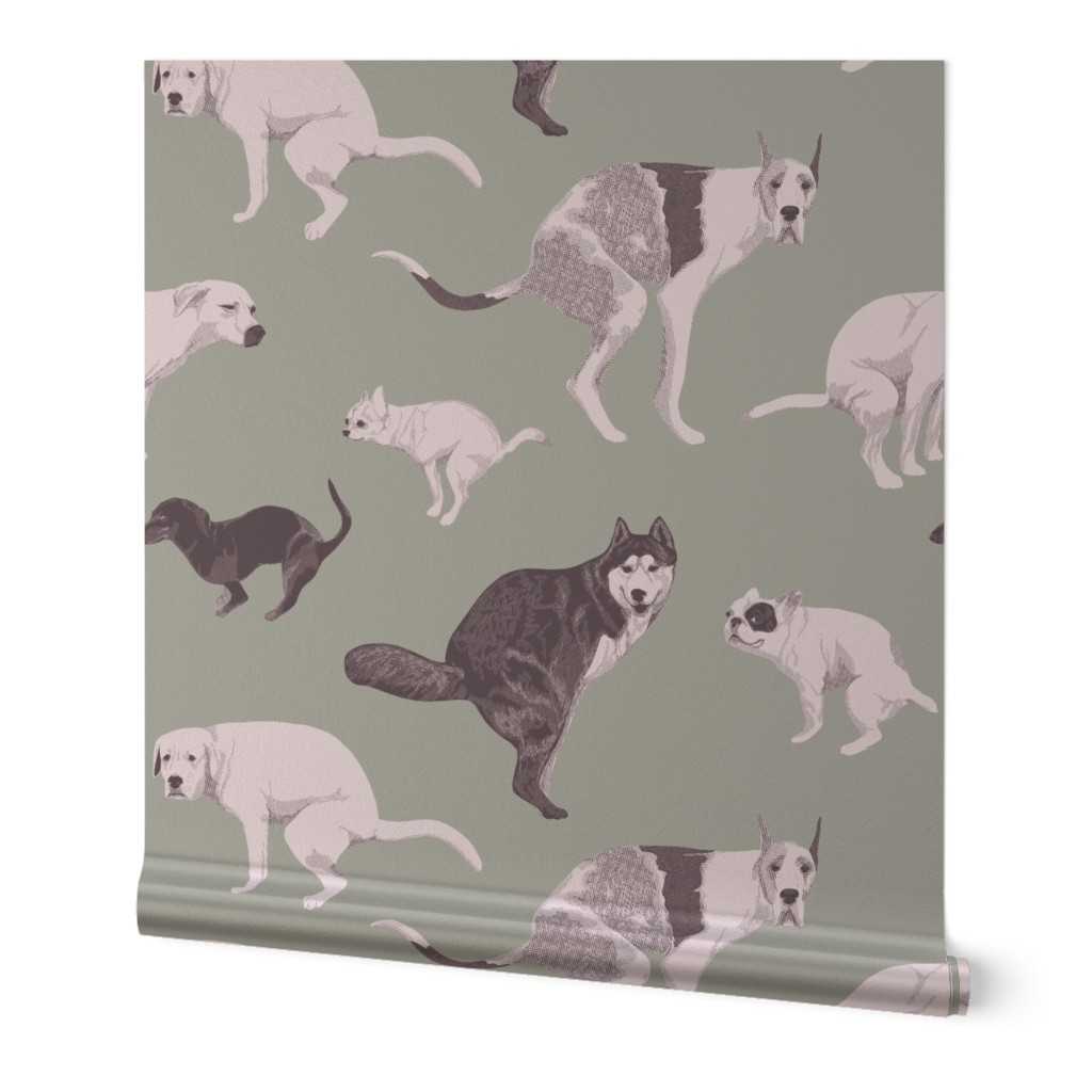 Dogs pooping, toilet wallpaper, vet scrubs. Malamute, pug, sausage dog, Great Dane shitting on light green background. Small scale