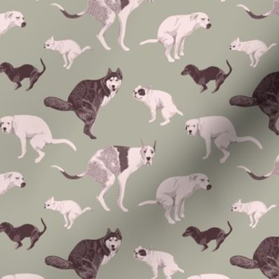 Dogs pooping, toilet wallpaper, vet scrubs. Malamute, pug, sausage dog, Great Dane shitting on light green background. Small scale