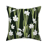 M. Hand drawn daffodil blooming plants | white flowers on black, medium scale