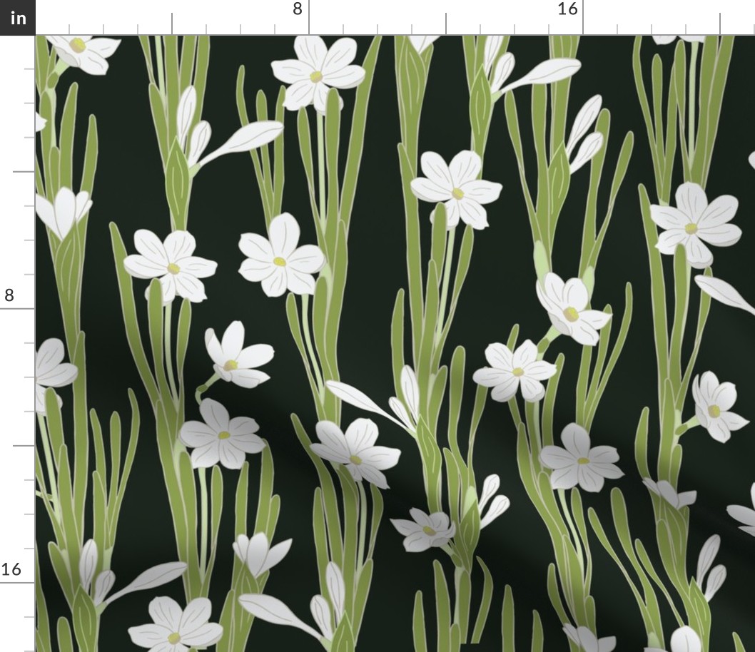 M. Hand drawn daffodil blooming plants | white flowers on black, medium scale