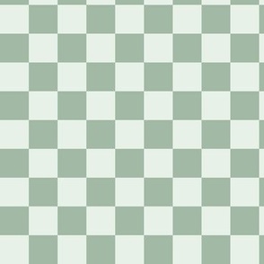 Checkered Sage Green St Patricks day 