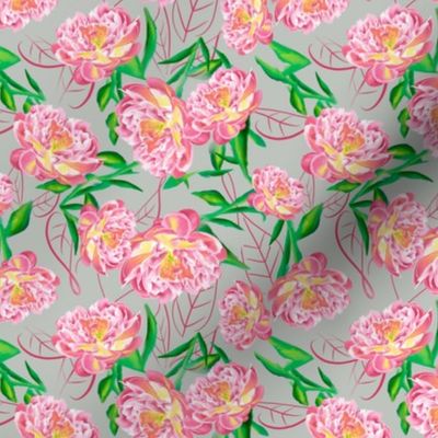 Peonies on neutral background
