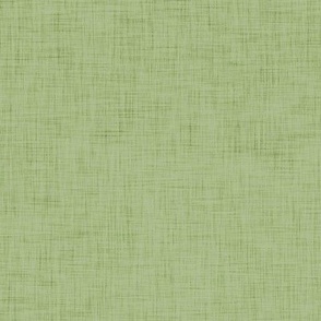 Earthy Green- Light Olive Green- Sage Green- Solid Color with Linen Texture- Faux Texture Wallpaper- Sea_ Sun and Surf- Vintage Colors