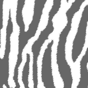 Gray Zebra Stripes on White