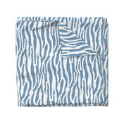 Light Blue Zebra Stripes on White