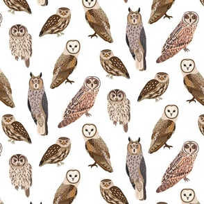 Owls Print