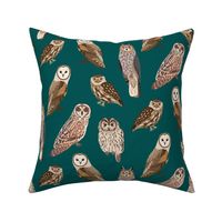 Owls on teal background