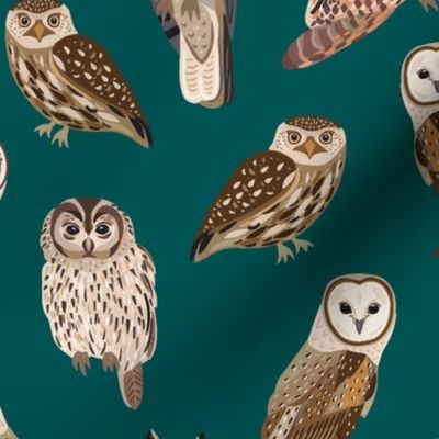 Owls on teal background