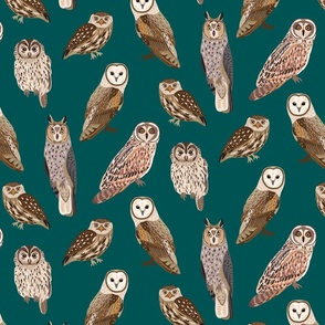 Owls on teal background