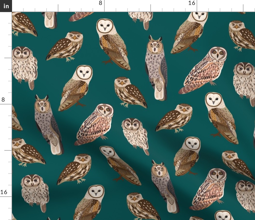 Owls on teal background