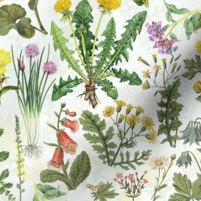 Antiqued Reconstructed Hand Painted Scientific Plant Studies Wildflowers Meadow Double Layer off white