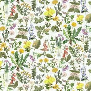 Antiqued Reconstructed Hand Painted Scientific Plant Studies Wildflowers Meadow Double Layer off white