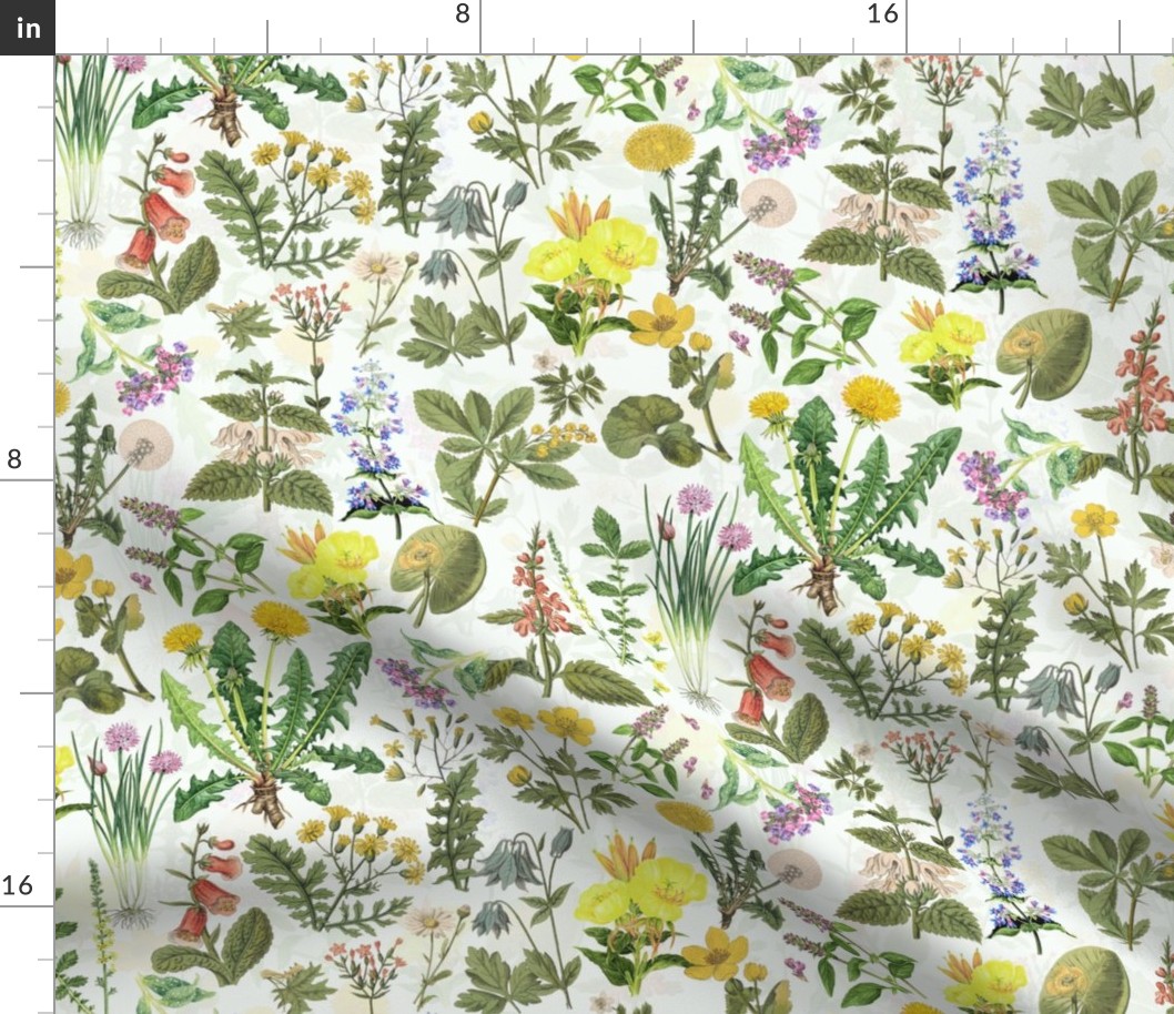 Antiqued Reconstructed Hand Painted Scientific Plant Studies Wildflowers Meadow Double Layer off white