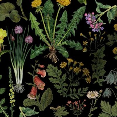 Antiqued Reconstructed Hand Painted Scientific Plant Studies, Dark Green Wildflowers Meadow black