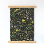 Antiqued Reconstructed Hand Painted Scientific Plant Studies Wildflowers Meadow Double layerblack