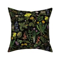 Antiqued Reconstructed Hand Painted Scientific Plant Studies Wildflowers Meadow Double layerblack