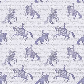 sidesaddle ladies pattern lavendar blue