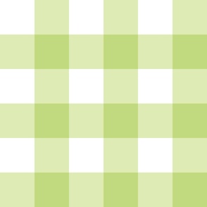 meadow green gingham check buffalo plaid