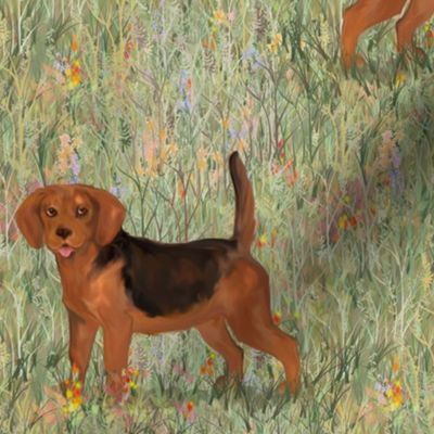 Black and Red Beagle in Wildflower Field