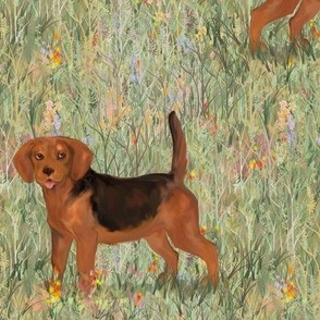 Black and Red Beagle in Wildflower Field