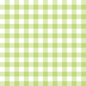 meadow green gingham check buffalo plaid 2"