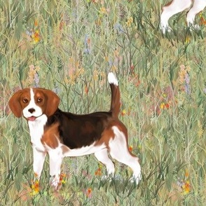 Black Red and White Beagle in Wildflower Field