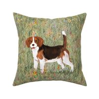 Black Red and White Beagle in Wildflower Field for Pillow