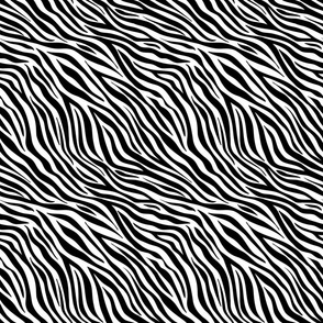 Zebra stripes pattern