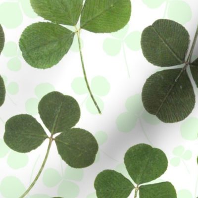 Pressed Shamrocks and Clovers (large scale) 