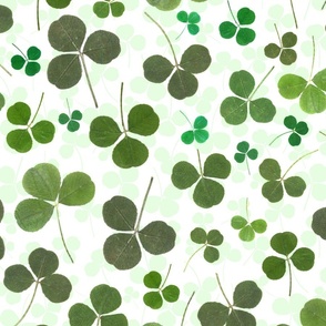 Pressed Shamrocks and Clovers (large scale) 