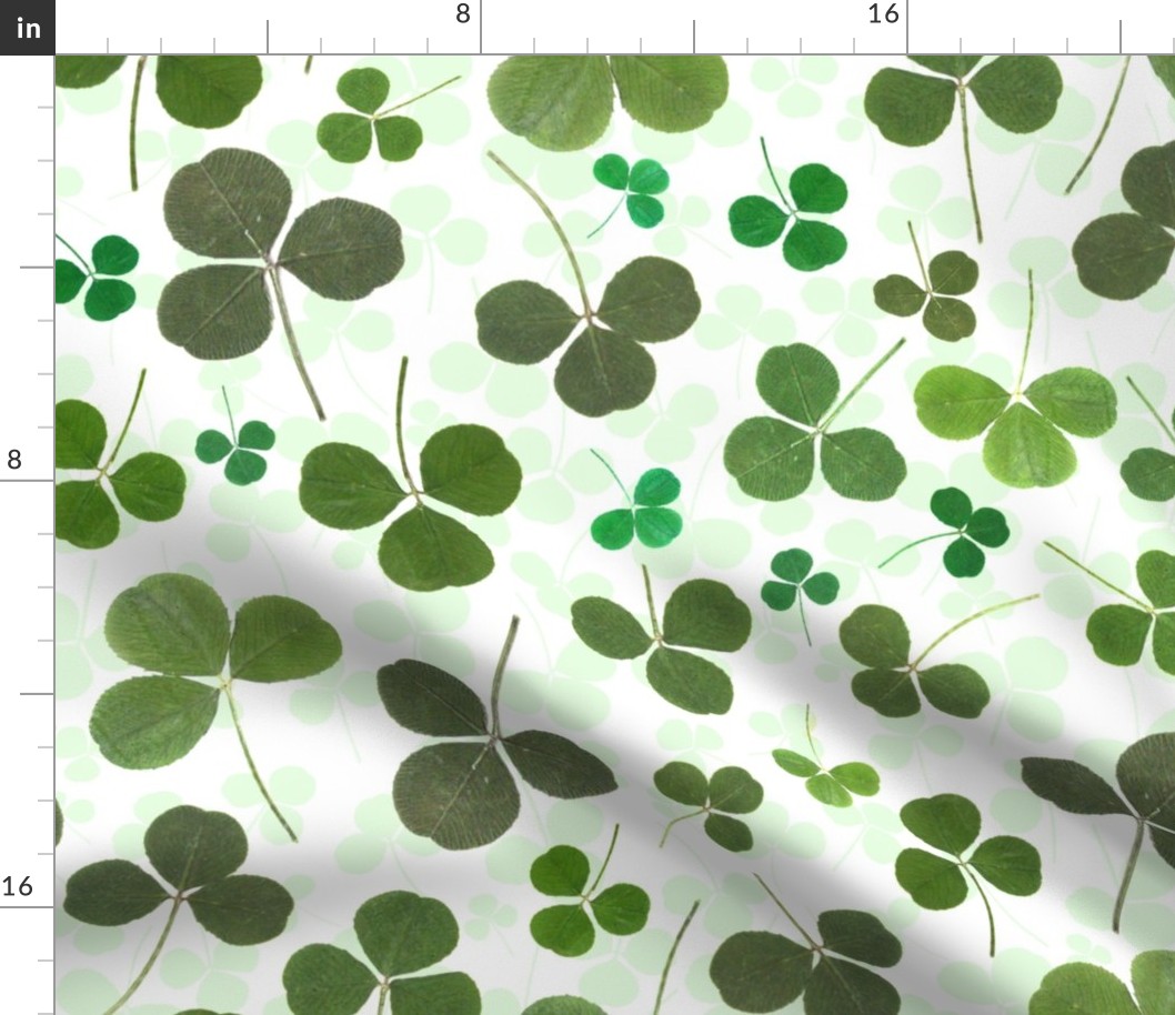 Pressed Shamrocks and Clovers (large scale) 