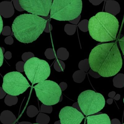 Pressed Shamrocks and Clovers (large scale) 