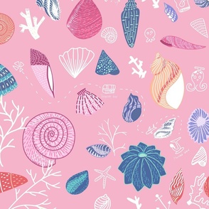 Ocean shell pink background 