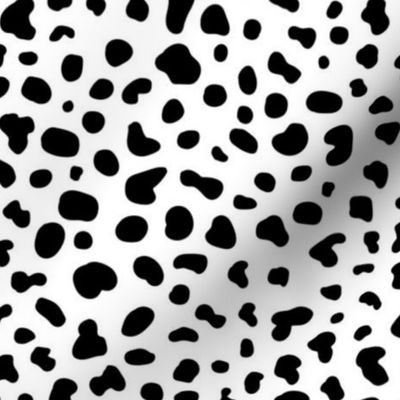 Dalmatian dog pattern