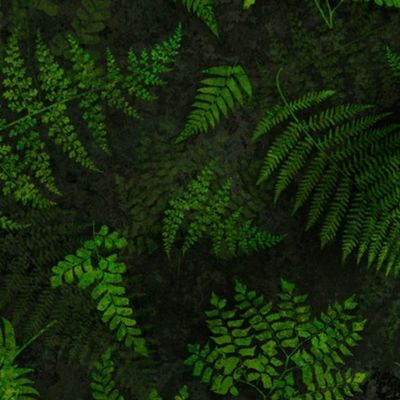 Moody Woods Moss Green Fern Botanical Pattern Smaller Scale