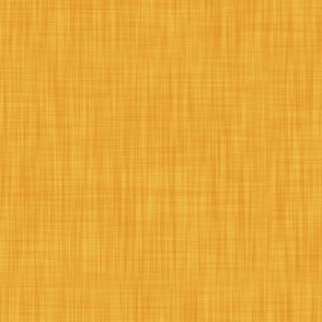 Midsummer Gold - Textured Solid Coordinate