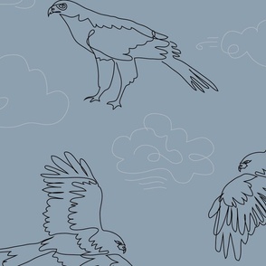 Continuous line drawing - Birds of Prey - Muted blue. Raptors, Vultures, Osprey